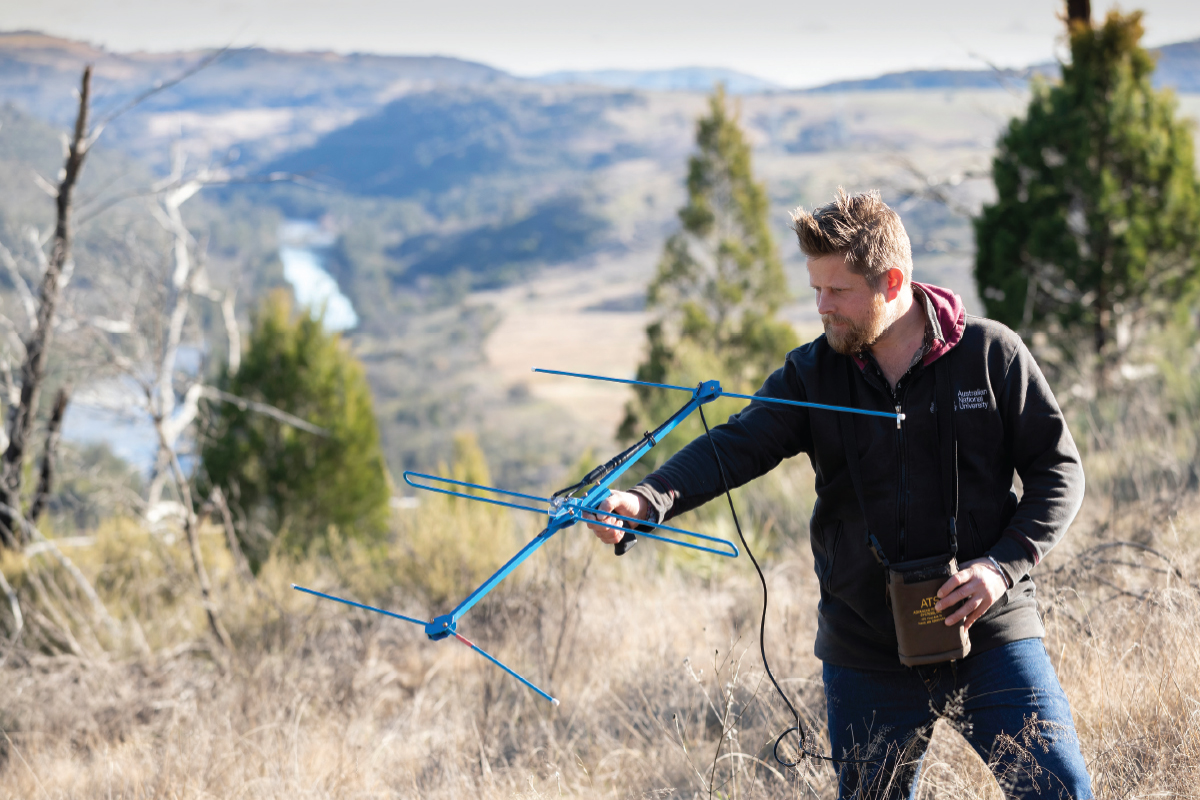 Snake season means we need to chat with snake expert Dr Gavin Smith