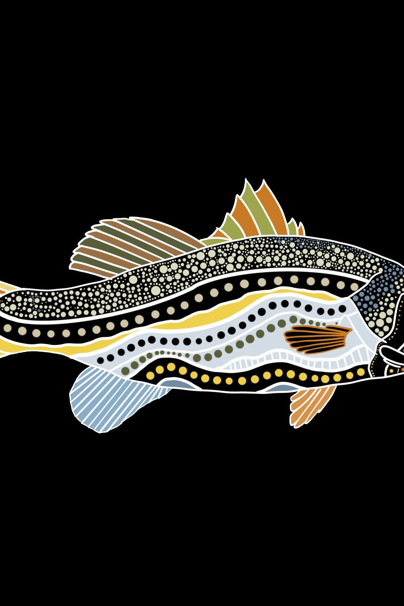Water animals: Fish - Jazz Matthews