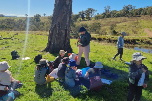 School holiday time immersed in nature, not on screens