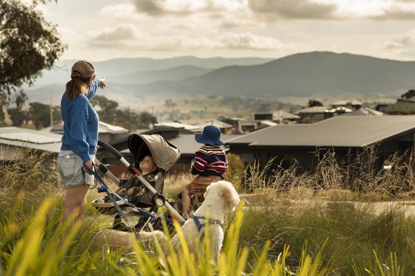 Managing The Urban Heat Island Effect: How Ginninderry is working hard to keep us cool 