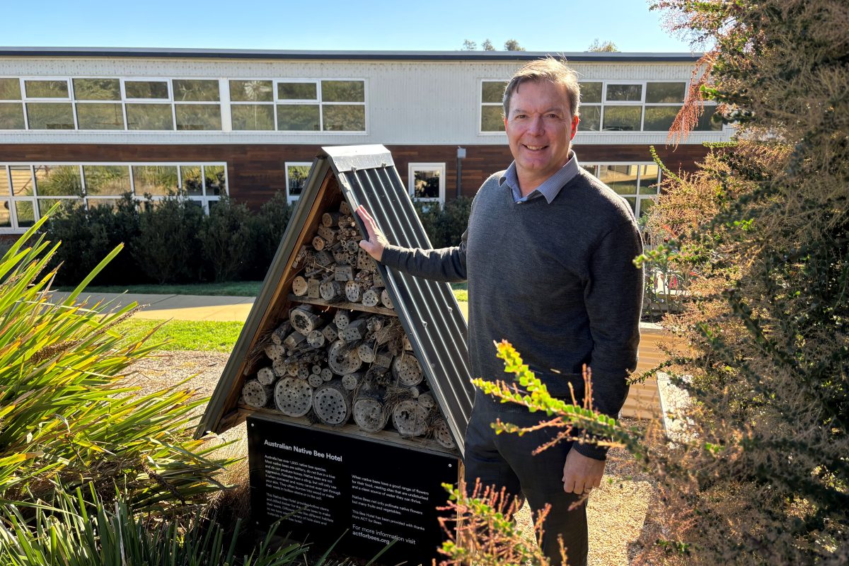 Matt Frawley standing in front of a bee hotel, surrounded by native shrubs
