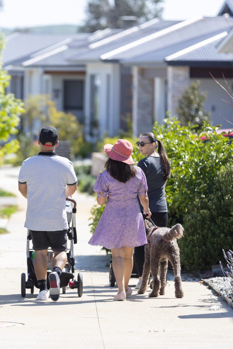 family walking with a pram and their dog