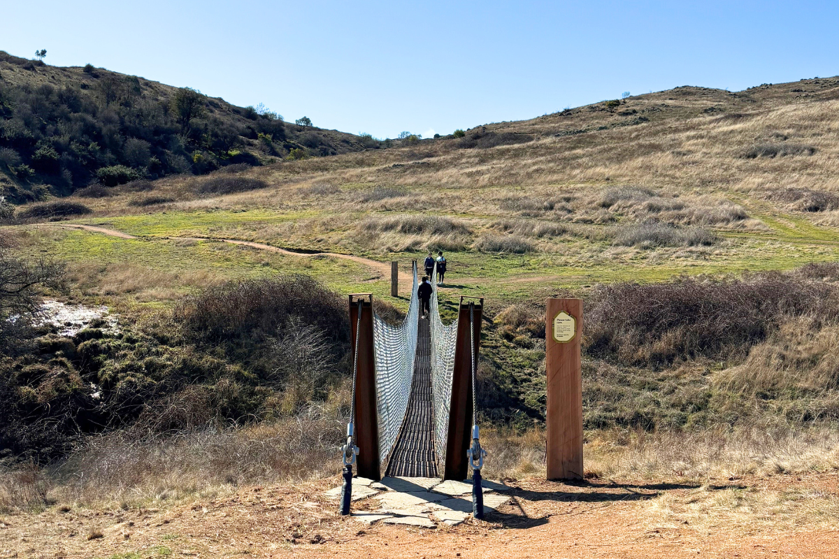 Conservation Corridor Walking Tracks image