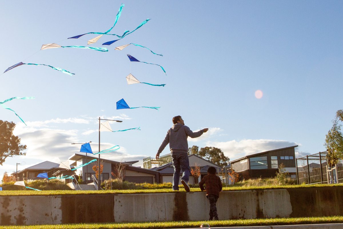 Kite Festival image