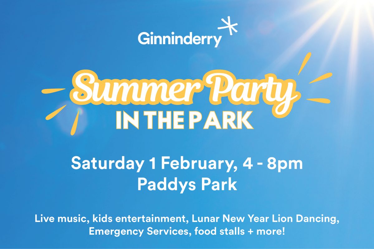 Summer Party in the Park