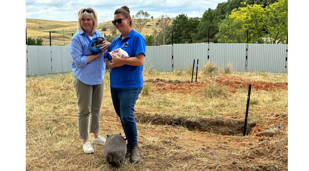 Wombat Rescue and Prague Zoo Unite for Conservation Milestone at Ginninderry