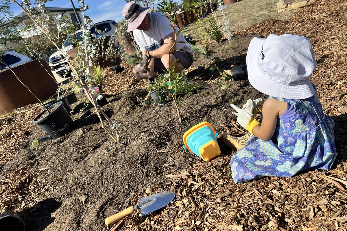 Strathnairn Garden Commons Workshop: Pruning, Watering & Maintenance