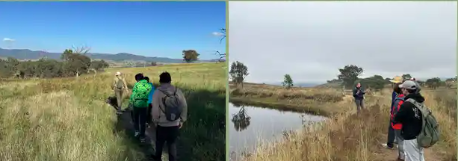 Guided Walk in the Ginninderry Conservation Corridor