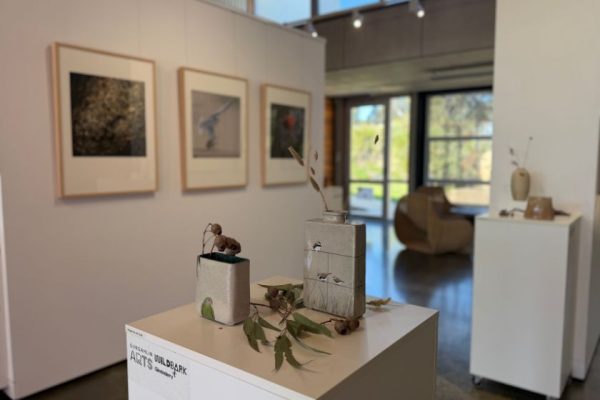 Stories of Survival: Threatened species photography comes to Ginninderry