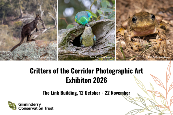 Critters of the Corridor Photographic Art Exhibition 2026